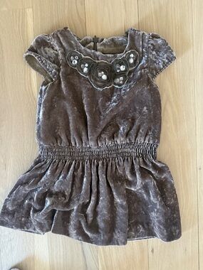 Mini Boden Velvet Short Sleeve Waist-Detail Dress in Taupe